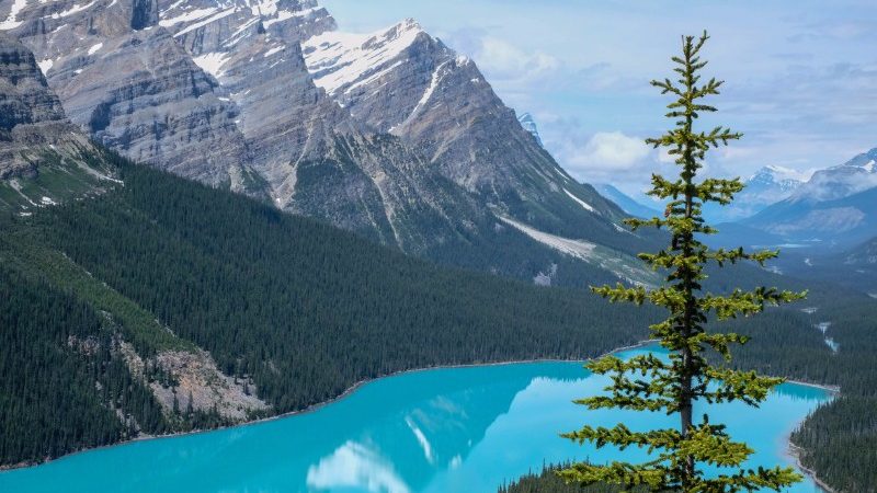 honeymoon places in Canada