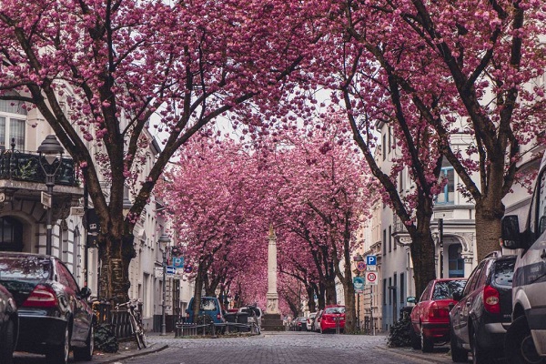 European destinations to see in Spring