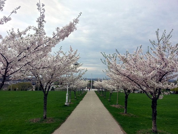 places of Ontario to Visit in Spring