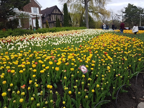 places of Ontario to Visit in Spring