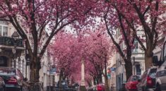 European destinations to see in Spring