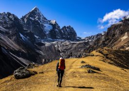 Everest trekking guide