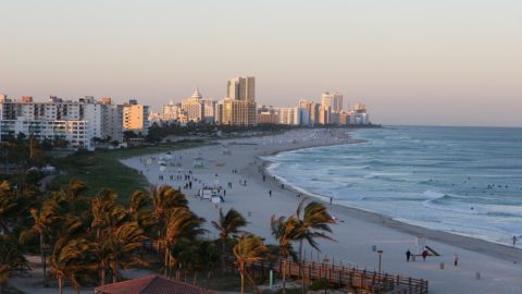 waterside delights of Miami